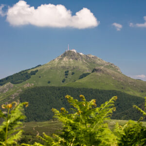 IBARDIN – Samedi – Marmande