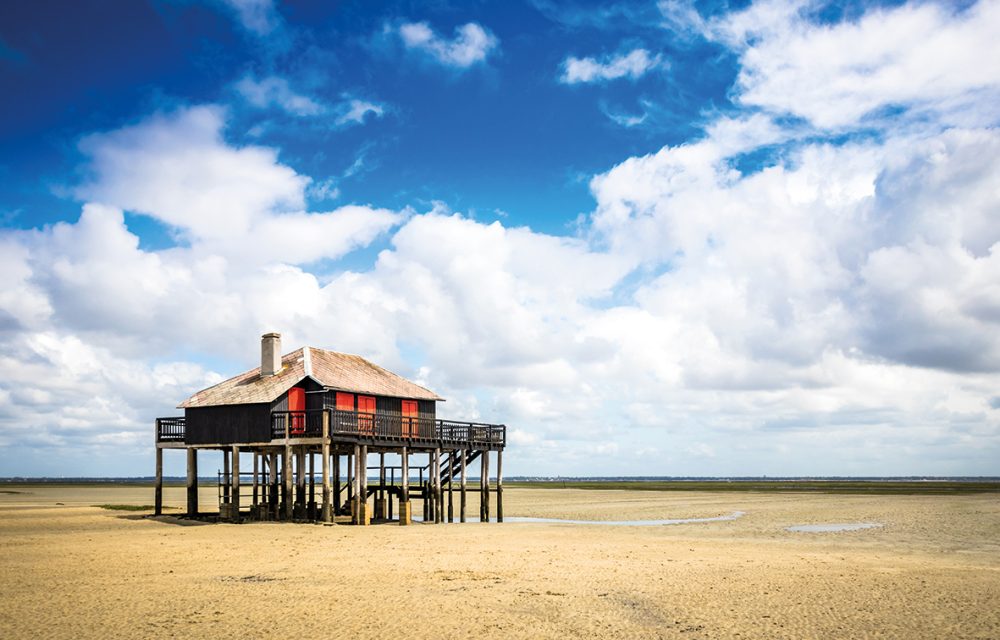 beautiful black wood house on stilts in the basin of Arcachon on the island with birds