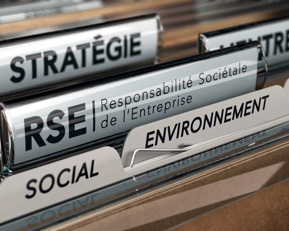 Stratégie Corporate. Responsabilité Sociétale des Entreprises, RSE