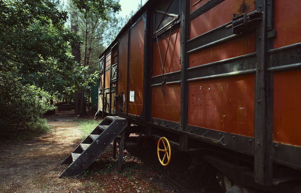 Abandoned train wagon in a forest, Ecomuseum of Marquèze, France