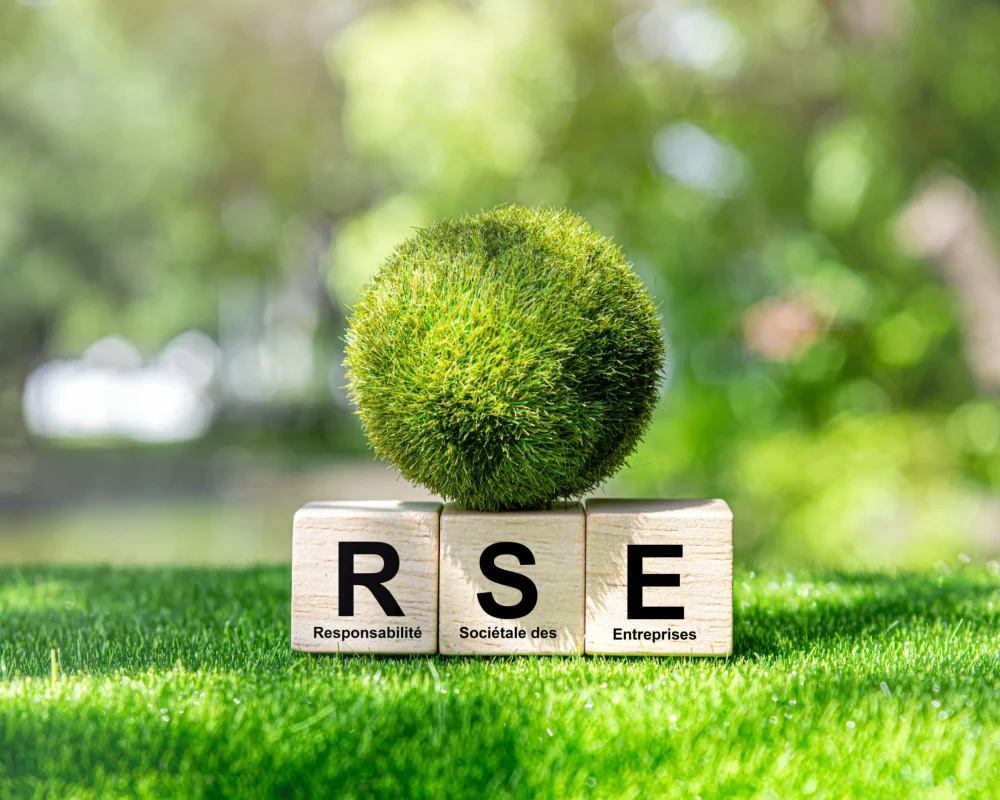 Visuel pour RSE
